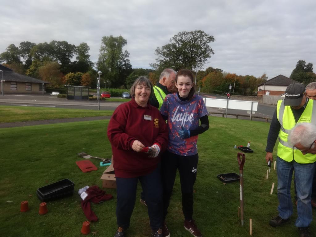 Crocus Planting